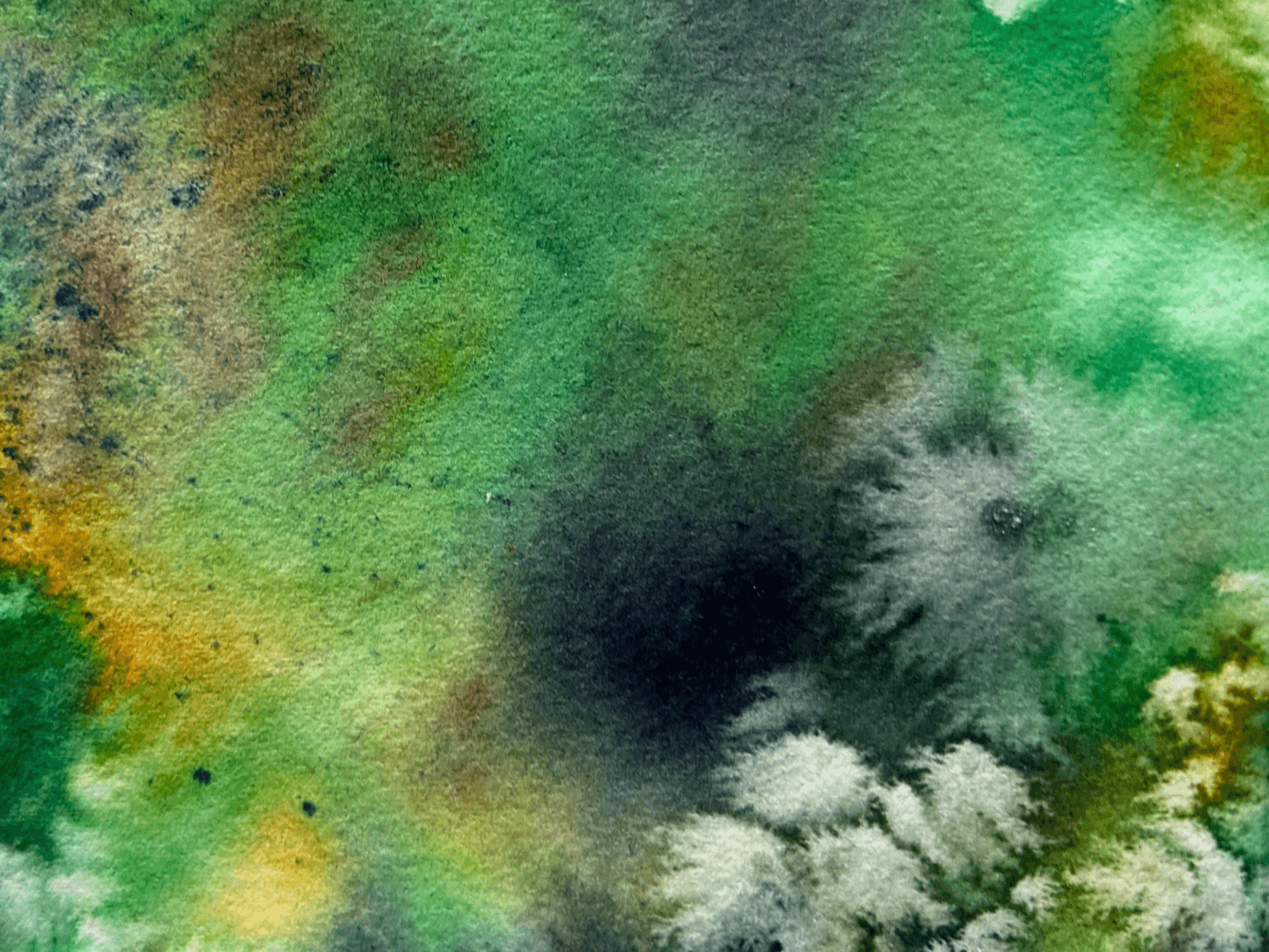 Watercolor Techniques with Claire Simpson Jones