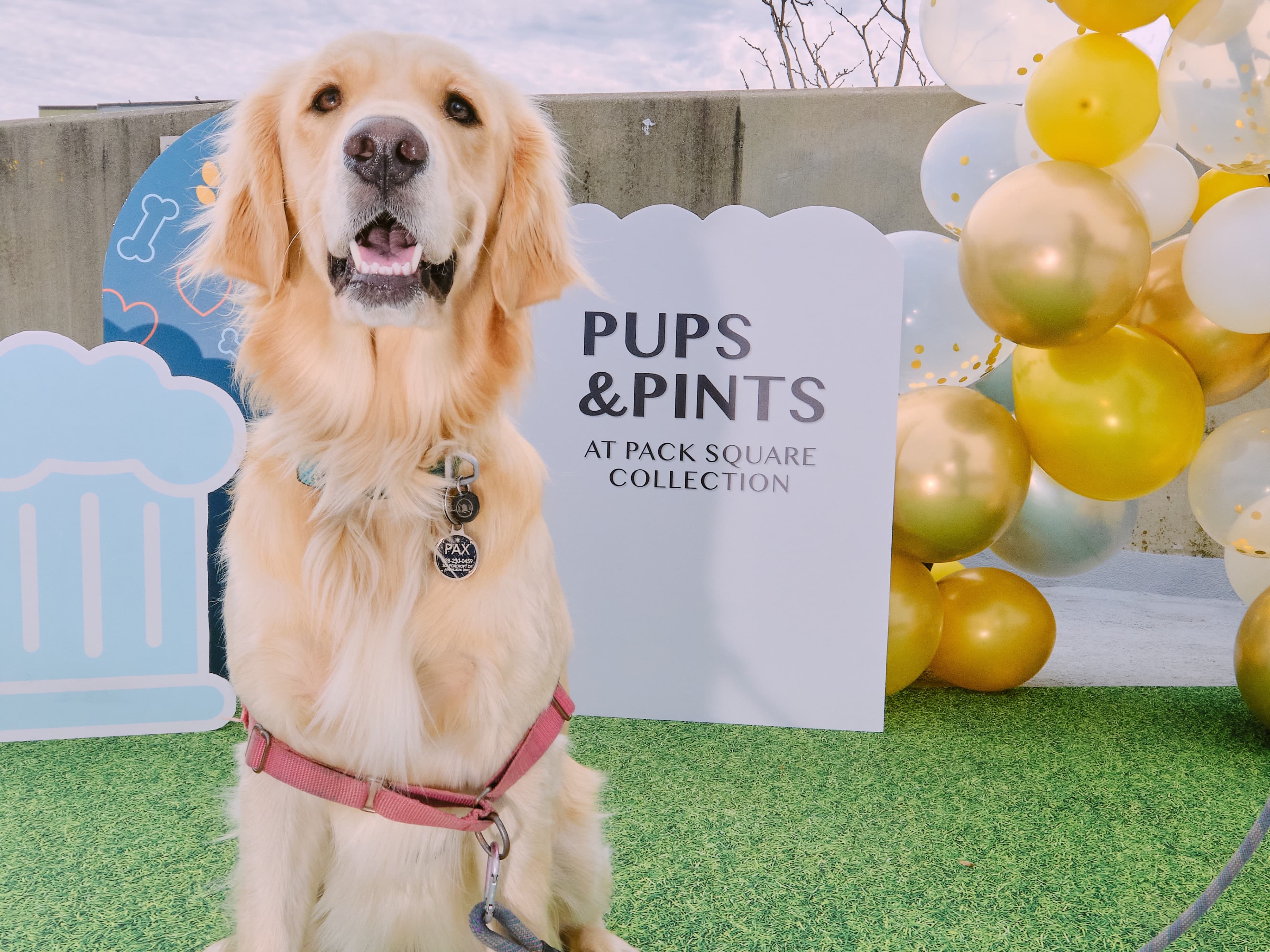Pups & Pints