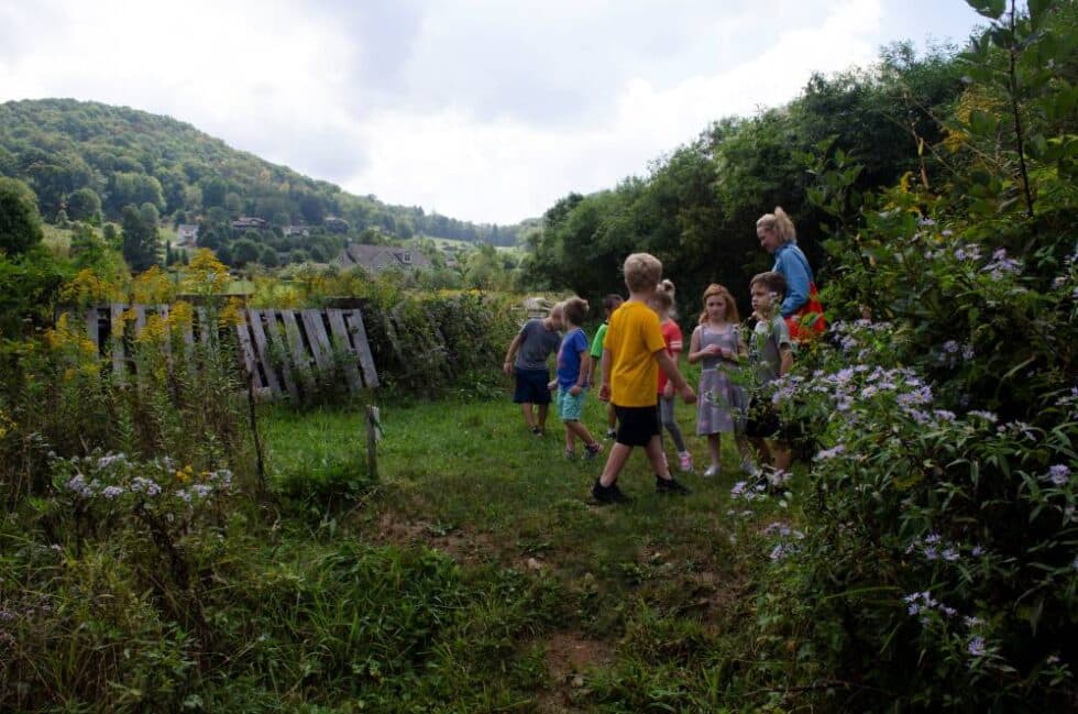 Educator Workshop: Project Learning Tree