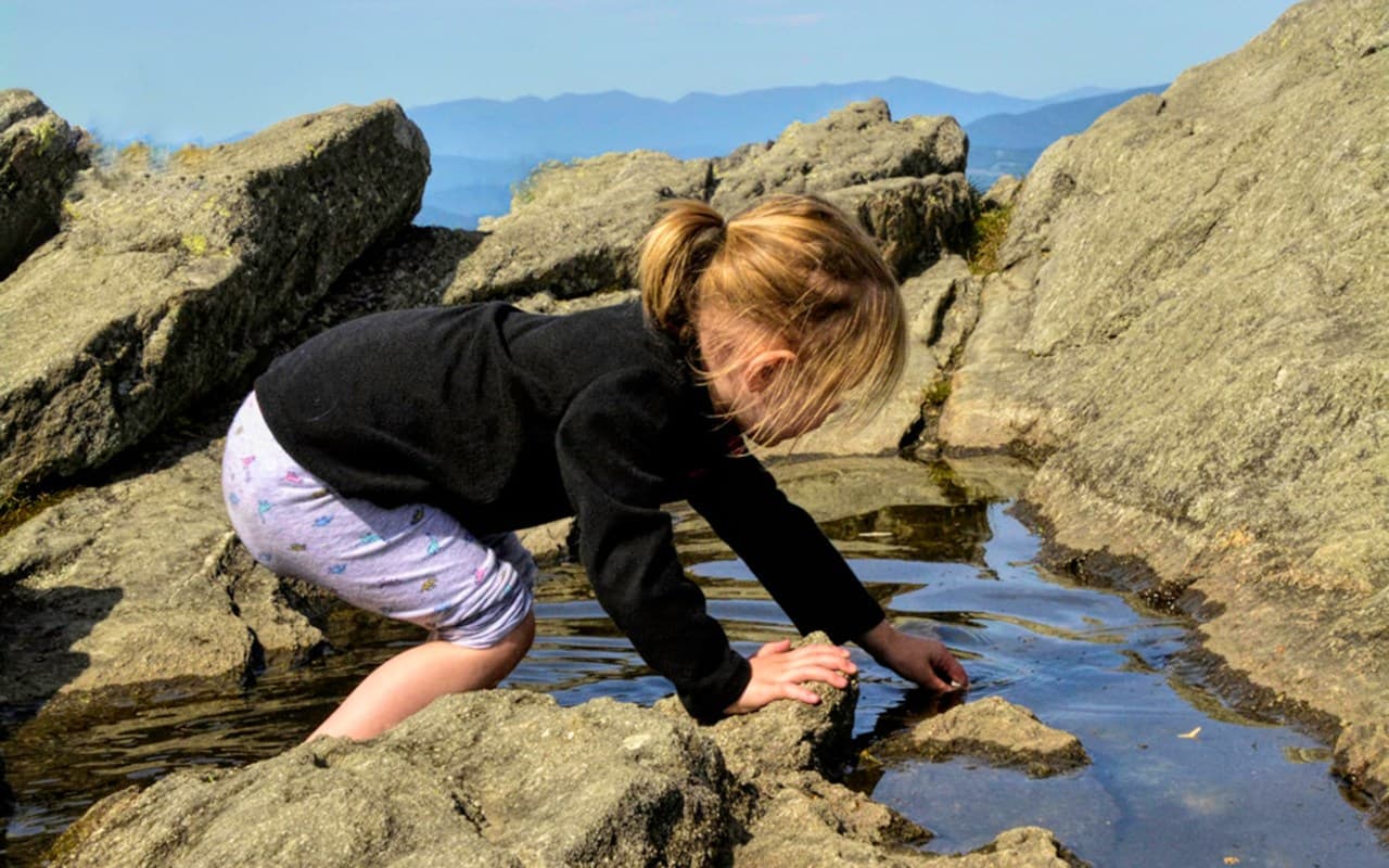 Junior Naturalist Day