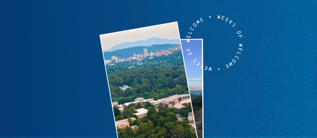 Weekends in AVL